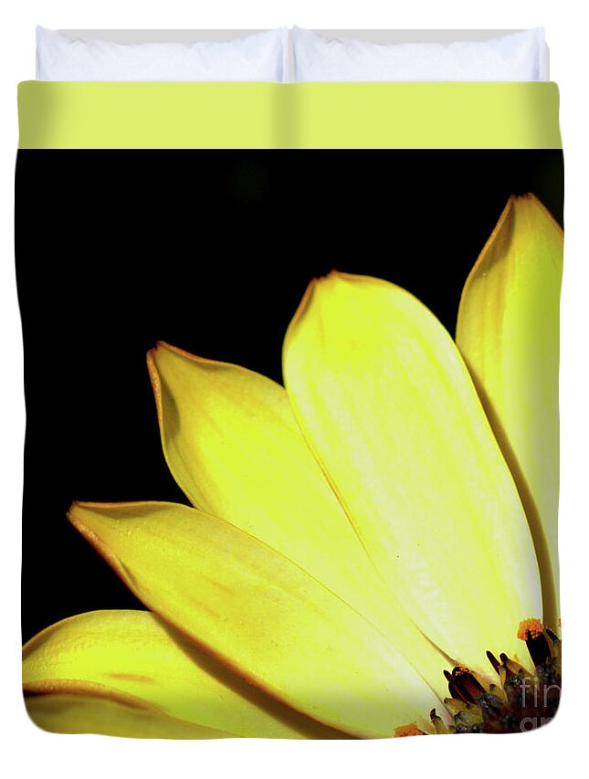 Flower Duvet Cover featuring the photograph African Daisy Osteospermum by Stephen Melia