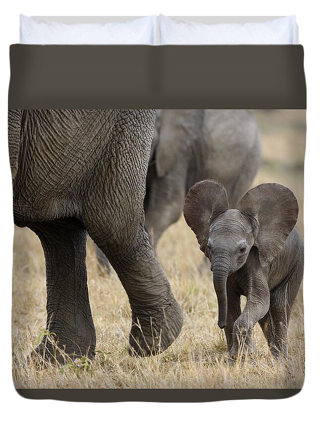00784043 Duvet Cover featuring the photograph African Elephant Mother And Under 3 by Suzi Eszterhas