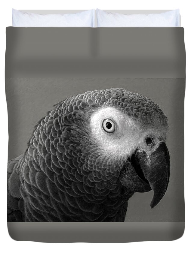 African Gray Duvet Cover featuring the photograph African Gray by Sandi OReilly