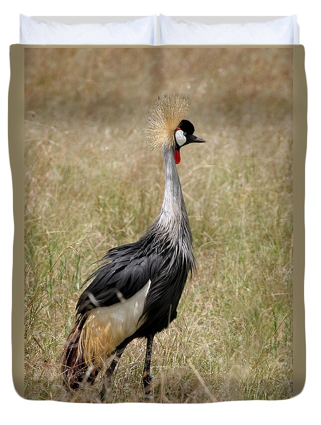Grey Crown Crane Duvet Cover featuring the photograph African Grey Crowned Crane by Joseph G Holland