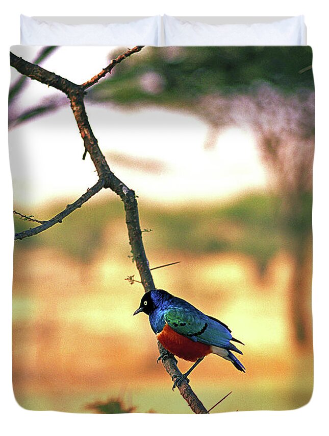 Starling Duvet Cover featuring the photograph African Starling by Don Schimmel