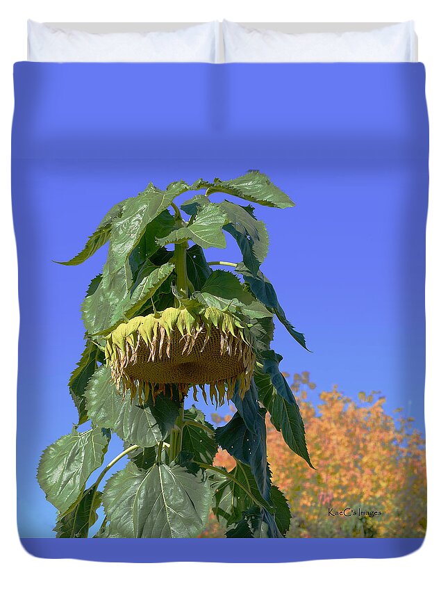 Sunflower Duvet Cover featuring the photograph After the Frost by Kae Cheatham