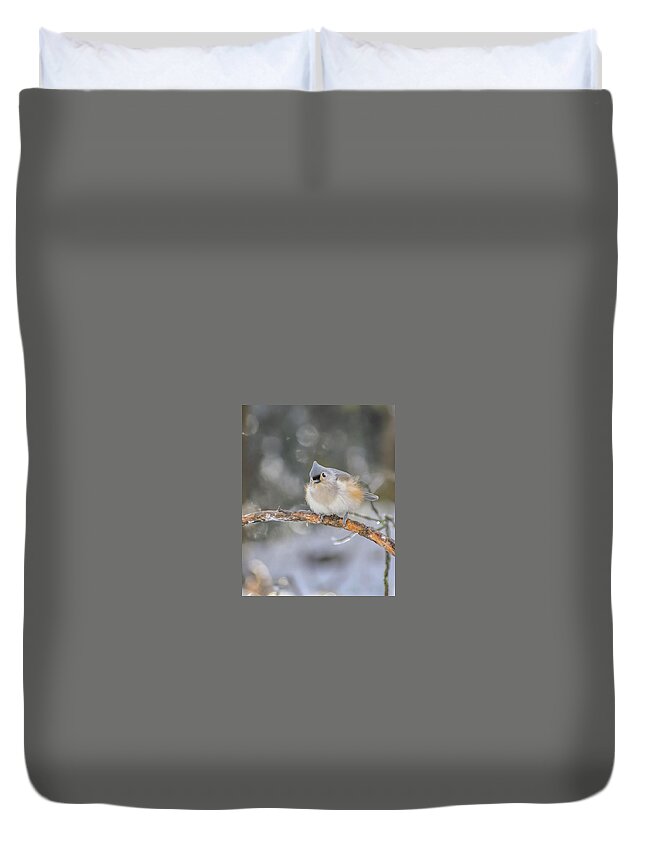 Ice Duvet Cover featuring the photograph After the Ice Storm by Holly Ross