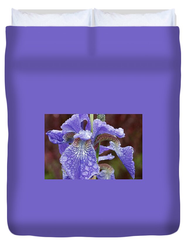 Wild Iris Duvet Cover featuring the photograph After the Rain by Catherine Avilez