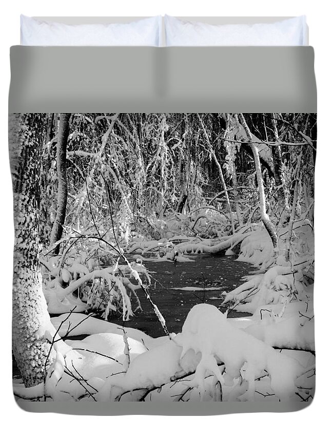 Andrew Pacheco Duvet Cover featuring the photograph After The Storm by Andrew Pacheco