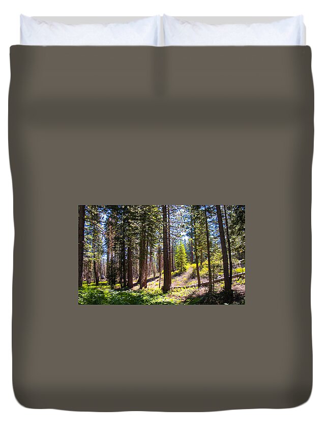 Trees Duvet Cover featuring the photograph Afternoon in the Forest by Susan Eileen Evans