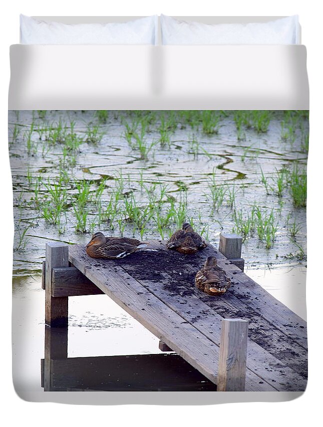 Mallards Duvet Cover featuring the photograph Afternoon Rest by Deborah Crew-Johnson
