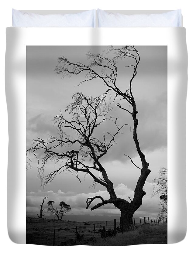 Australia Duvet Cover featuring the photograph Against Sky by Lee Stickels