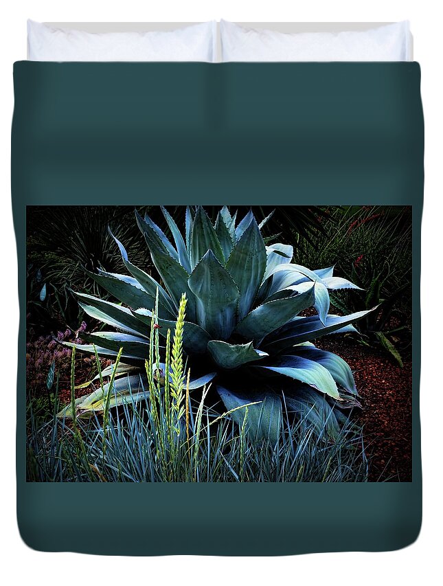  Maguey Plant Duvet Cover featuring the photograph Agave Americana by Diana Mary Sharpton