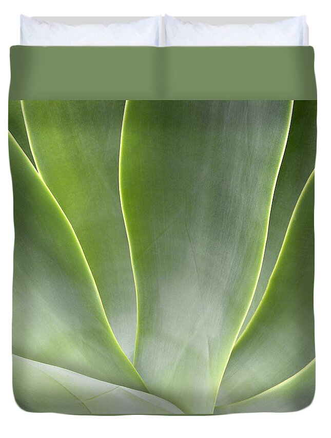 Agave Duvet Cover featuring the photograph Agave Leaves by Rich Franco