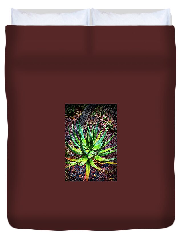 Agave Duvet Cover featuring the photograph Agave Plant by Joseph Hollingsworth