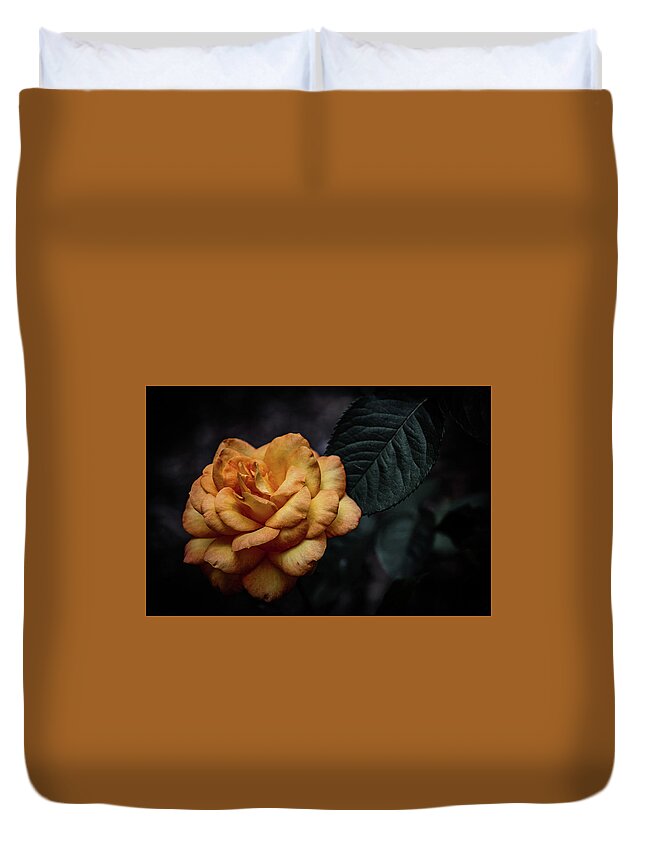 Aged Duvet Cover featuring the photograph Aged Burnt Yellow Rose 3410 H_2 by Steven Ward