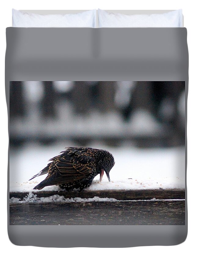 Starlings Duvet Cover featuring the photograph Ahh...  Tasty Snow by Tracey Vivar