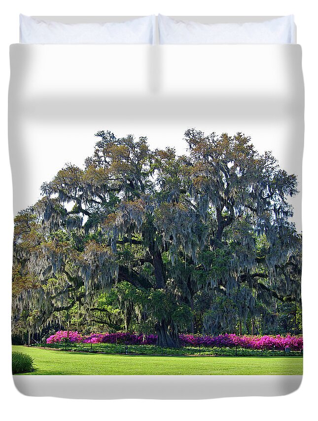 Live Oak Duvet Cover featuring the photograph Airlie Oak In The Spring by Cynthia Guinn