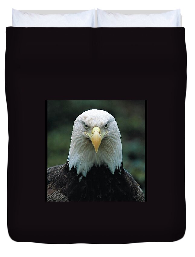 Eagle Duvet Cover featuring the photograph Alaskan Eagle by Quwatha Valentine