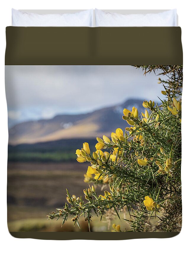 Gorse Duvet Cover featuring the photograph Alba by Holly Ross
