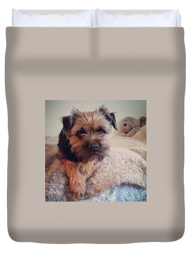 Dog Duvet Cover featuring the photograph Albert Portrait by Rowena Tutty