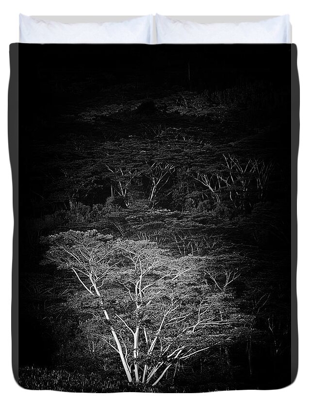 Albezia Duvet Cover featuring the photograph Albezia Tree by Roger Mullenhour