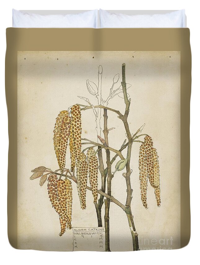 Charles Rennie Mackintosh 1868 - 1928 Alder Catkins Duvet Cover featuring the painting Alder Catkins by Celestial Images