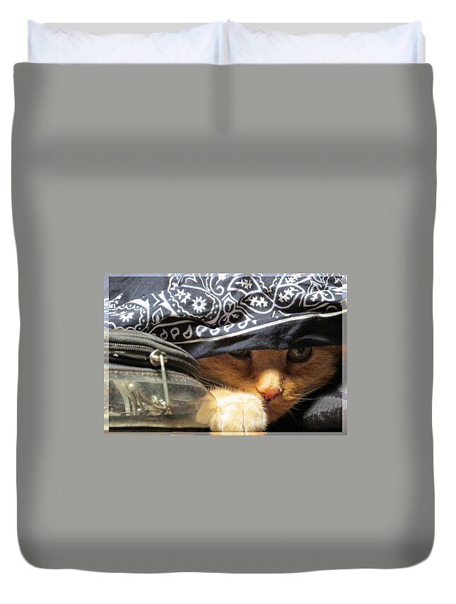 Cat Duvet Cover featuring the photograph Alias Johnny Cat Depp by Feather Redfox