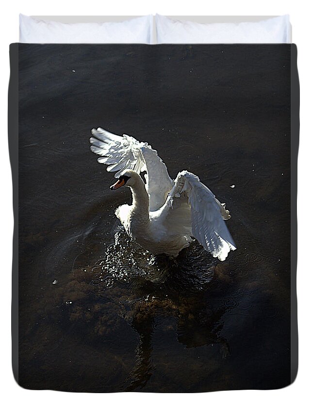 Swan Duvet Cover featuring the photograph All of a flap by Andy Thompson
