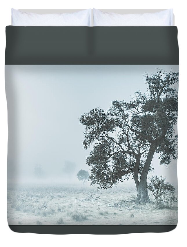 Aleena Duvet Cover featuring the photograph Alleena winter landscape by Jorgo Photography