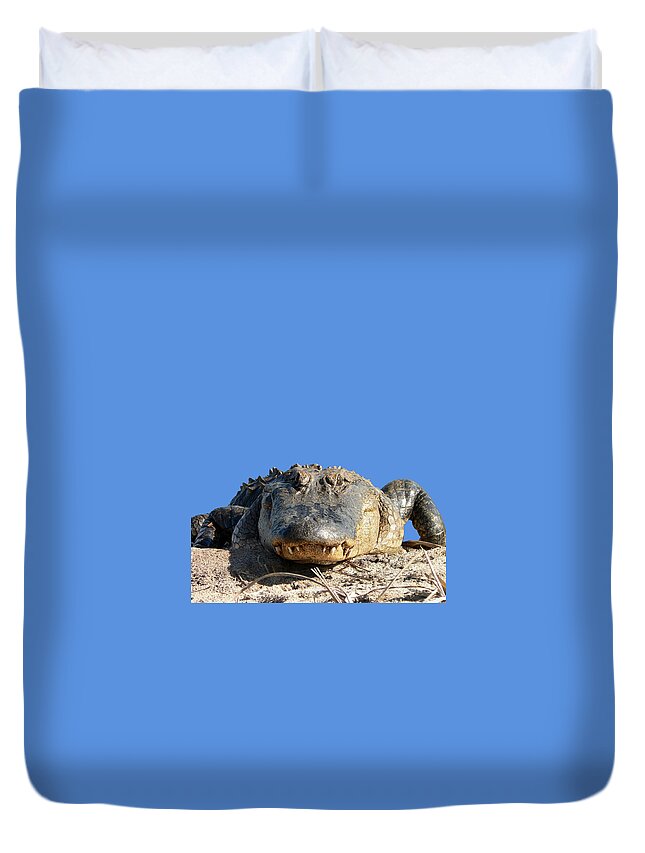 Gator Duvet Cover featuring the photograph Alligator Approach .png by Al Powell Photography USA