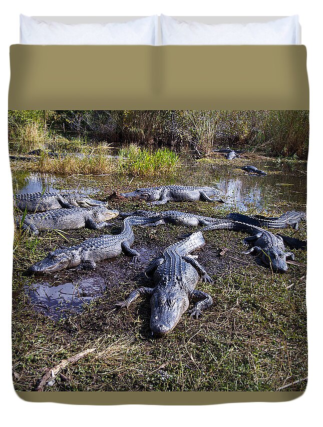 Nature Duvet Cover featuring the photograph Alligators 280 by Michael Fryd