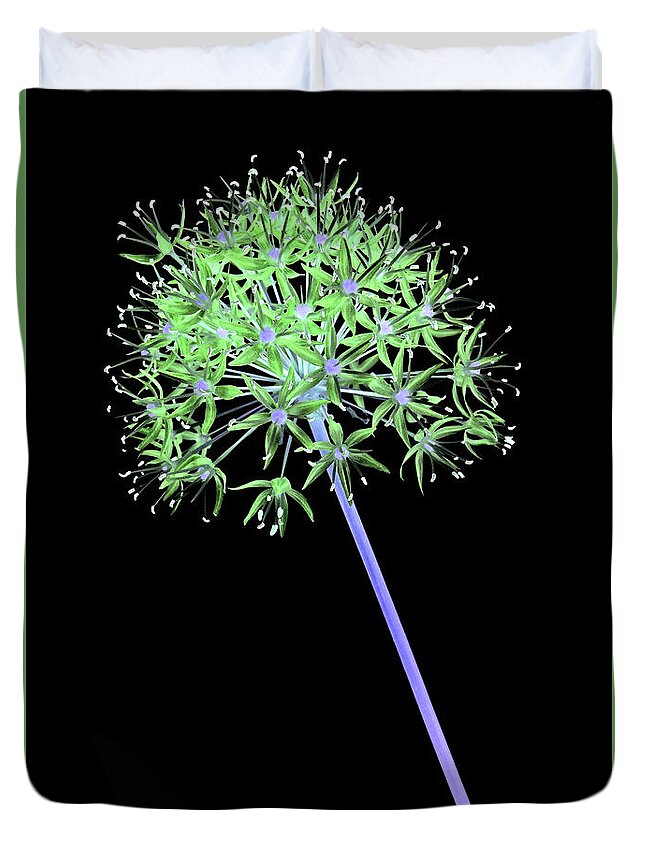 Allium Flowers Duvet Cover featuring the photograph Allium 2 on black by Tony Cordoza