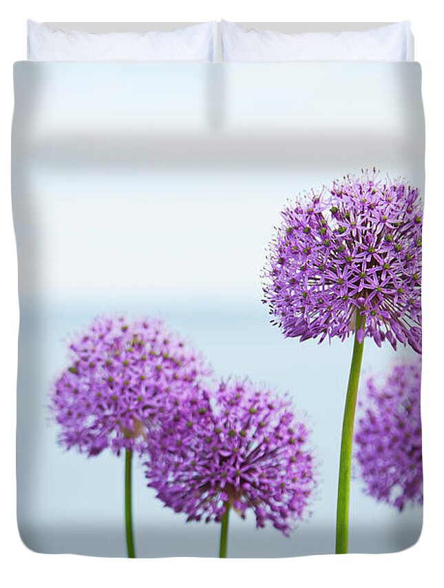 Allium Duvet Cover featuring the photograph Alliums 1 by Garden Gate