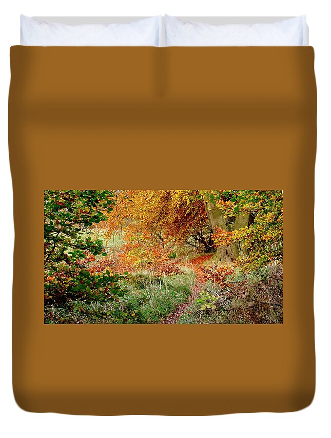 Alluring Duvet Cover featuring the photograph Alluring trail under the fall canopy by Elena Perelman