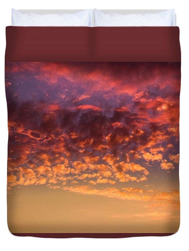 California Duvet Cover featuring the photograph Almost Autumn by Pamela Newcomb
