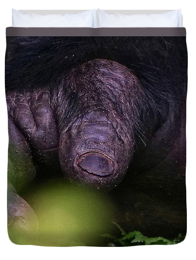 Gorilla Duvet Cover featuring the photograph Almost Human by Michael Cinnamond