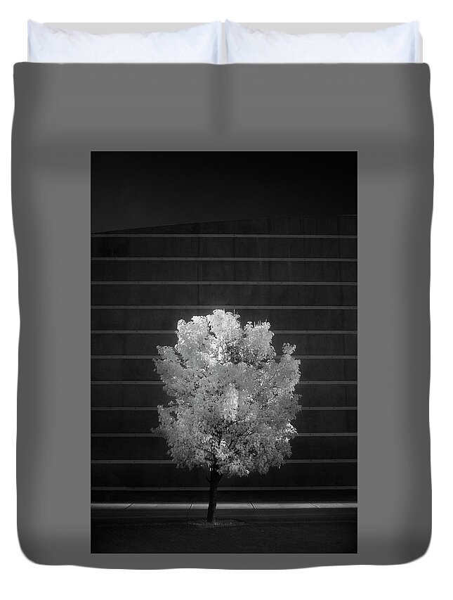 Lone Tree Duvet Cover featuring the photograph Alone by Brian Duram