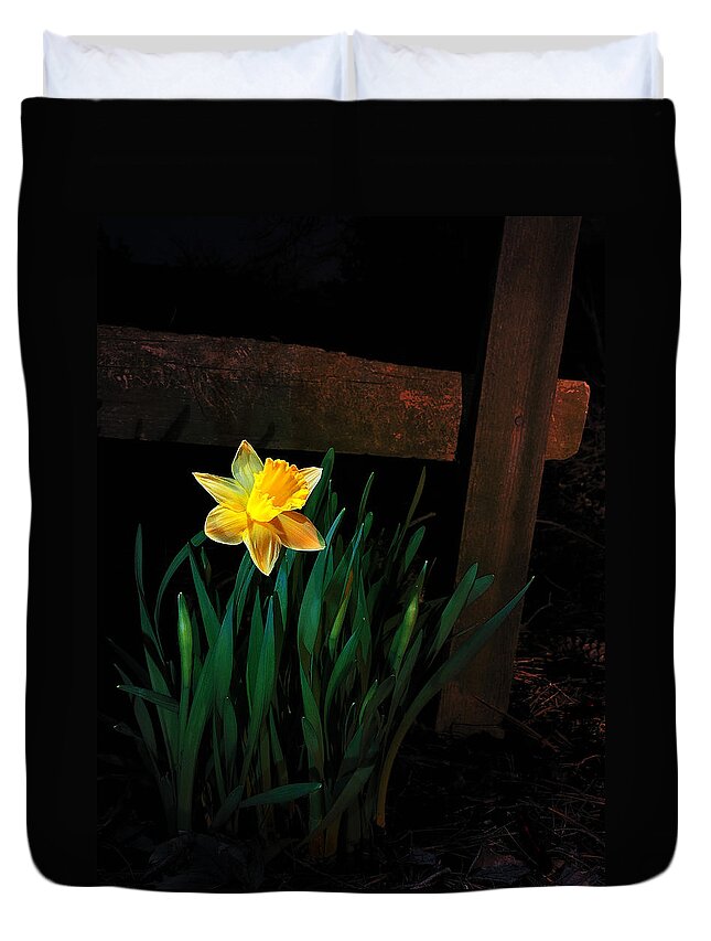 Daffodil Duvet Cover featuring the photograph Alone In The Dark by Mark Fuller