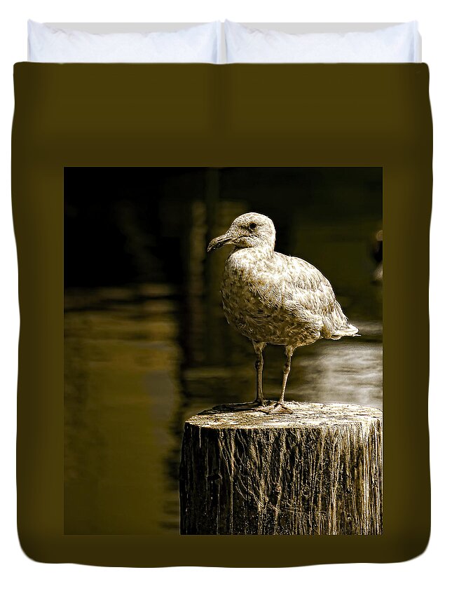 Wildlife Duvet Cover featuring the photograph Alone by Wayne Enslow