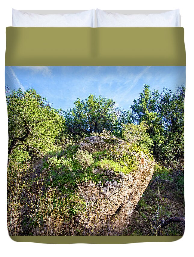 Spring Duvet Cover featuring the photograph Along the Las Llajas Trail in Spring by Lynn Bauer