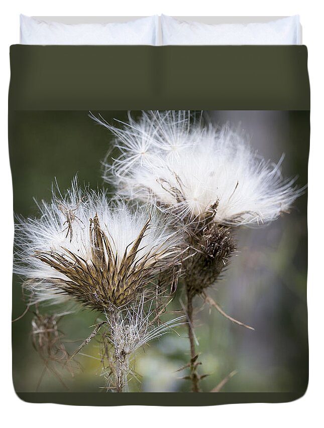 Andrew Pacheco Duvet Cover featuring the photograph Along The Meadow Trail by Andrew Pacheco