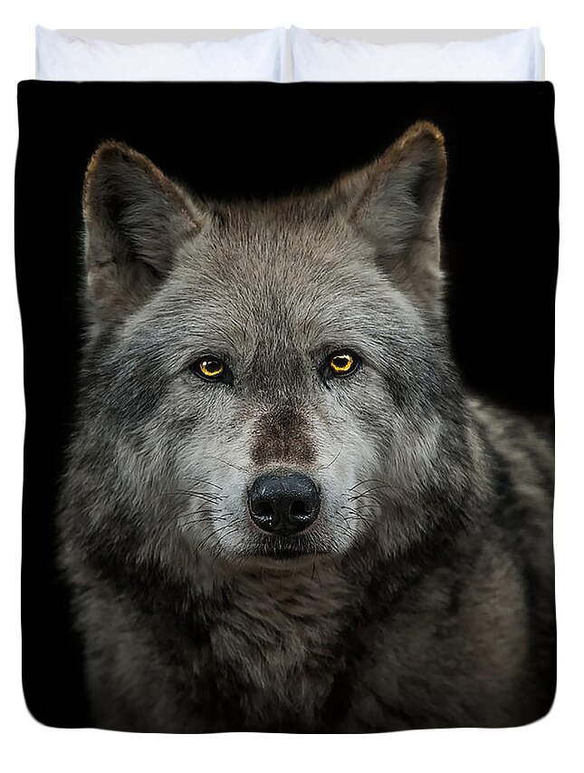 Alpha Duvet Cover featuring the photograph Alpha Male by Paul Neville