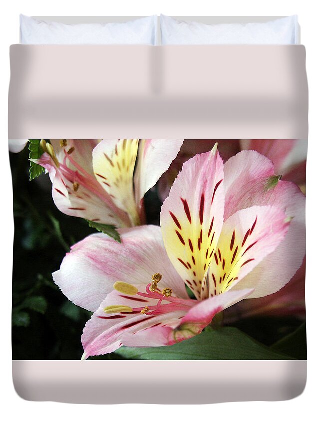 Flower Duvet Cover featuring the photograph Alstromeria Blossom by Sandra Foster