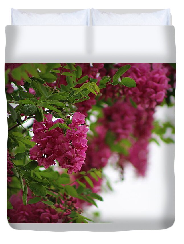 Amaranth Duvet Cover featuring the photograph Amaranth Pink Flowering Locust Tree In Spring Rain by Colleen Cornelius
