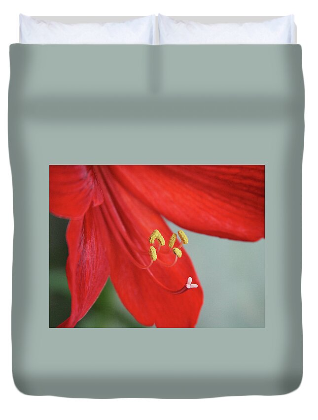 Flower Duvet Cover featuring the photograph Amaryllis. Close up by Masha Batkova