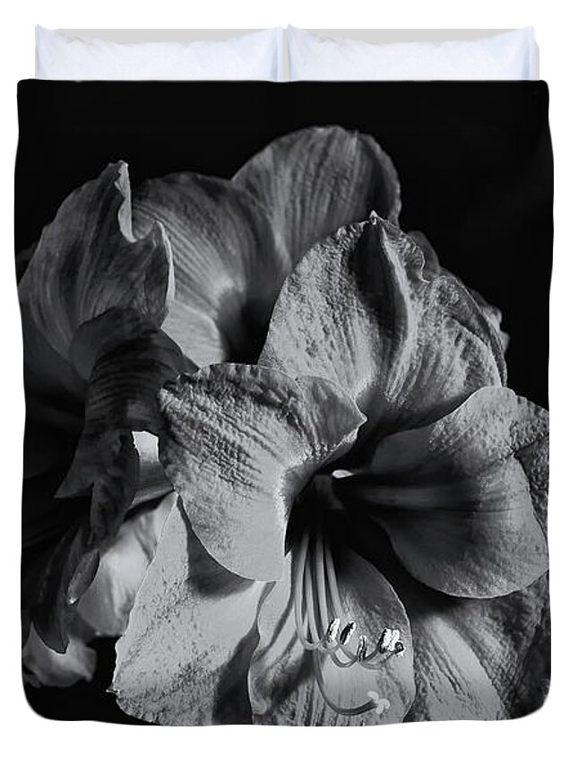 Amaryllis Duvet Cover featuring the photograph Amaryllis Monochrome by Jeff Townsend
