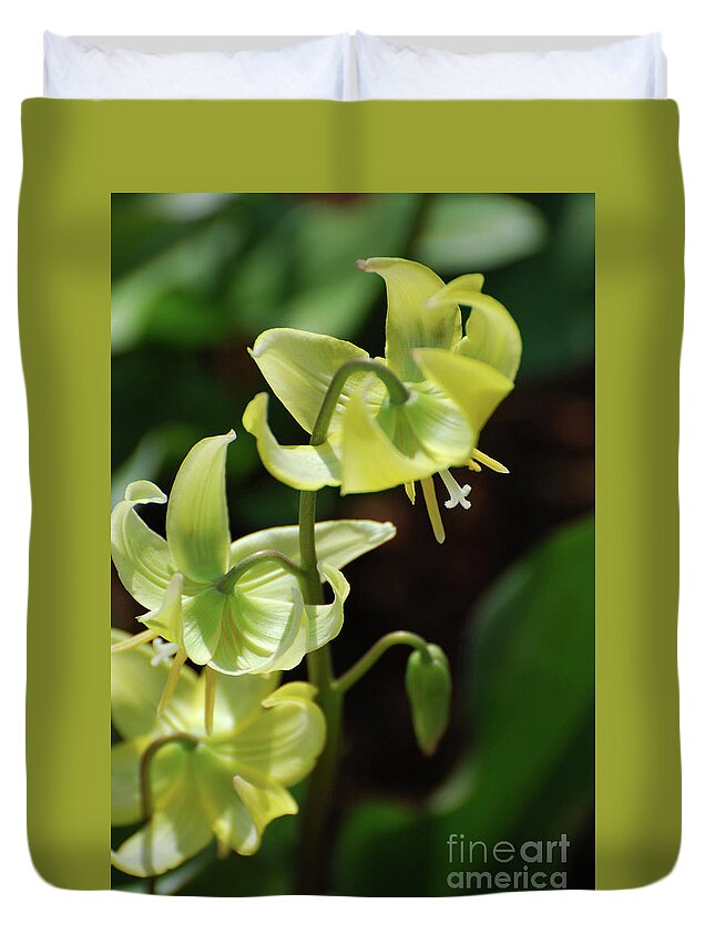 Trout-lily Duvet Cover featuring the photograph Amazing Blooming Yellow Trout Lily in a Garden by DejaVu Designs