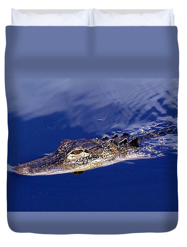 Animals Duvet Cover featuring the photograph American Alligator 014 by Christopher Mercer