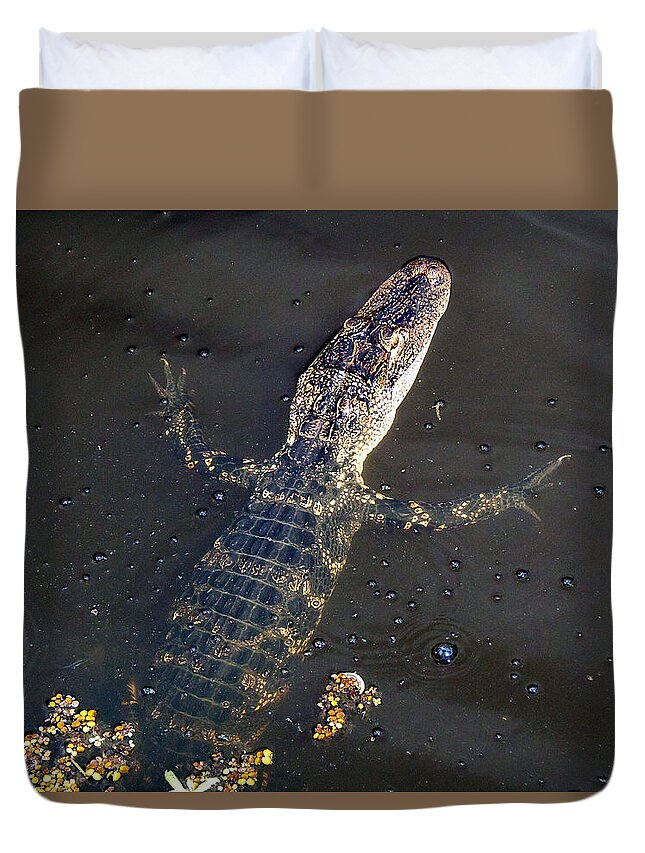 Animals Duvet Cover featuring the photograph American Alligator 016 by Christopher Mercer