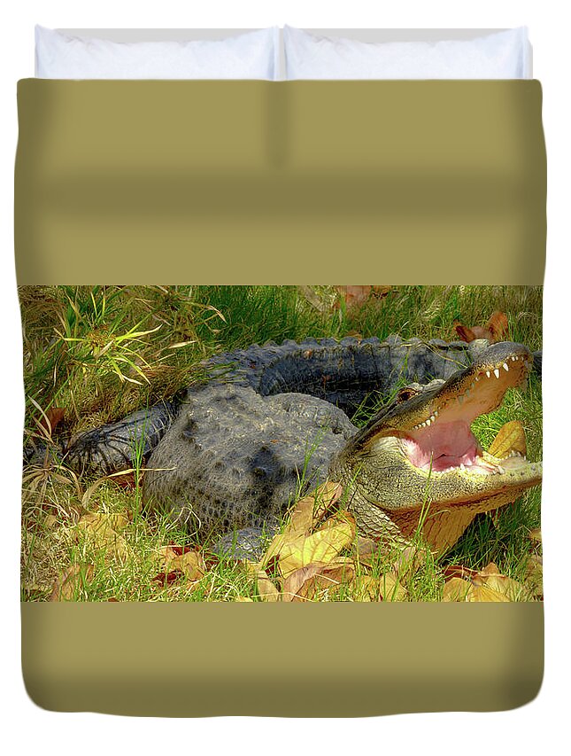 #orcinusfotograffy #arizona #phoenix #zoo #alligator #nature #colors #teeth Duvet Cover featuring the photograph American Alligator Arizona Chapter by Kimo Fernandez
