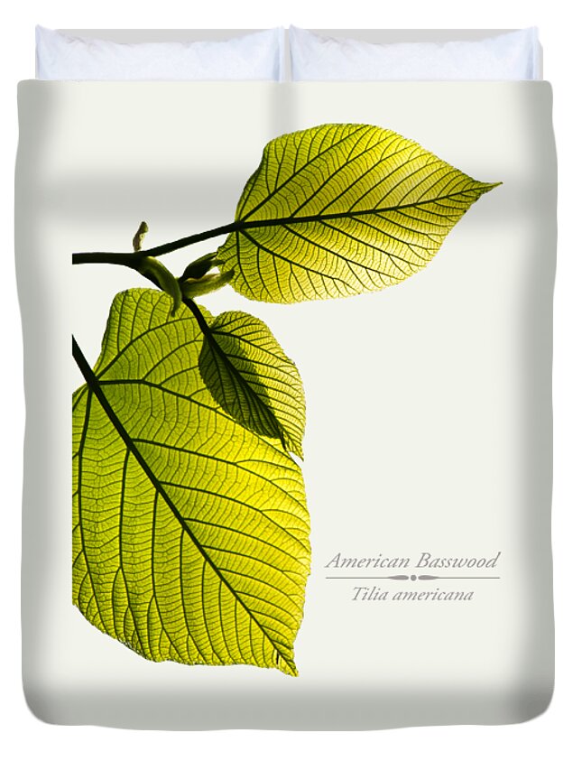 Leaves Duvet Cover featuring the mixed media American Basswood by Christina Rollo