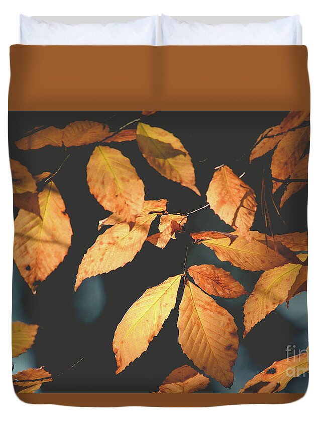 Fagus Grandifolia Duvet Cover featuring the photograph American Beech Leaves by Cheryl Baxter