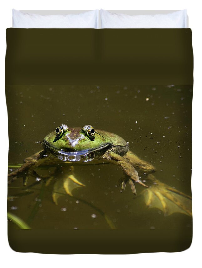 Frog Duvet Cover featuring the photograph American Bullfrog by Christina Rollo